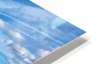 IMG 1648 HD Metal print