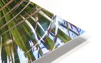 IMG 3609 HD Metal print