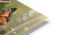 Margaritas HD Metal print
