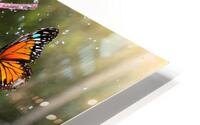 Margarita  HD Metal print