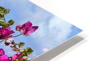 IMG 7005 HD Metal print