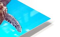 IMG 6750 HD Metal print