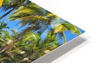 Bastimentos Bungalows HD Metal print