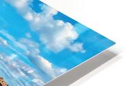 CoralCove1 HD Metal print