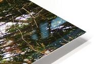 PaddleBoards HD Metal print