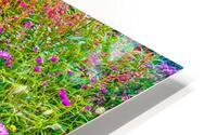 Wild Flowers HD Metal print