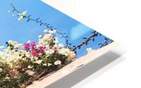 Oia Greece V HD Metal print