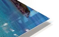 PigBeach HD Metal print