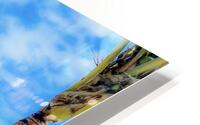Saba Rock BVI HD Metal print