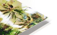 Palms n Sand HD Metal print