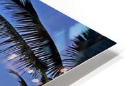 IMG 8328 HD Metal print