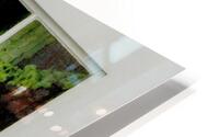 BIWINDOW HD Metal print