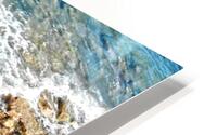 Coral HD Metal print