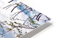 Costa Rica HD Metal print