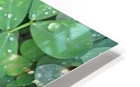 Rain Droplets HD Metal print