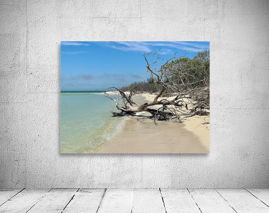 Boca Grande FL III Wall Preview