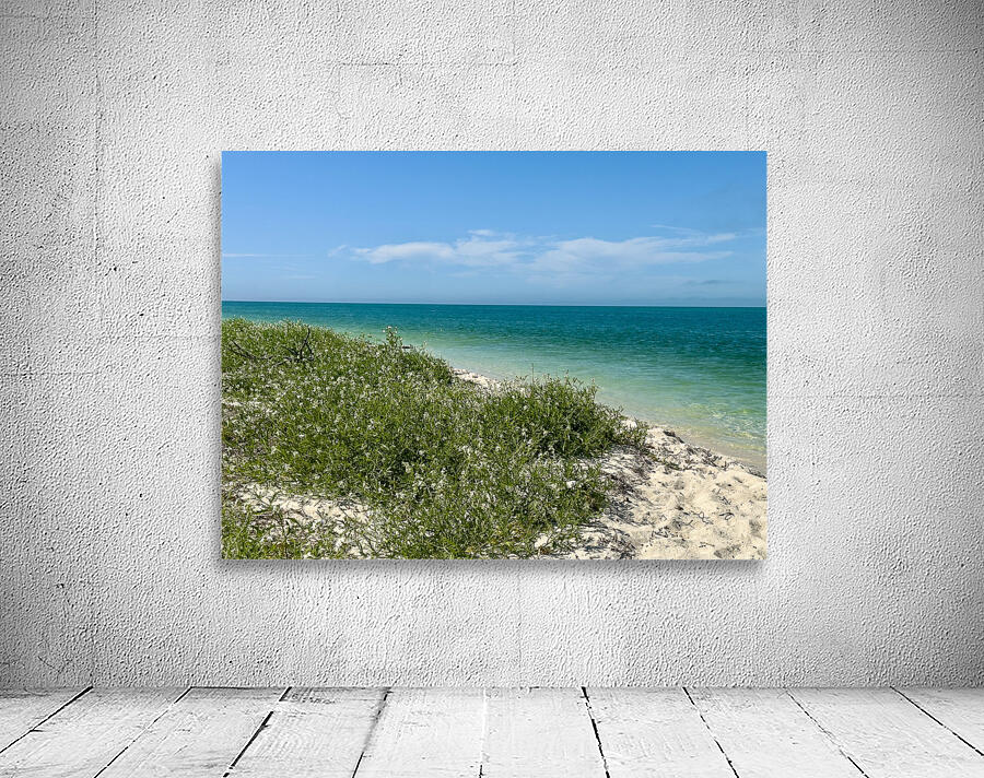 Boca Grande FL Wall Preview