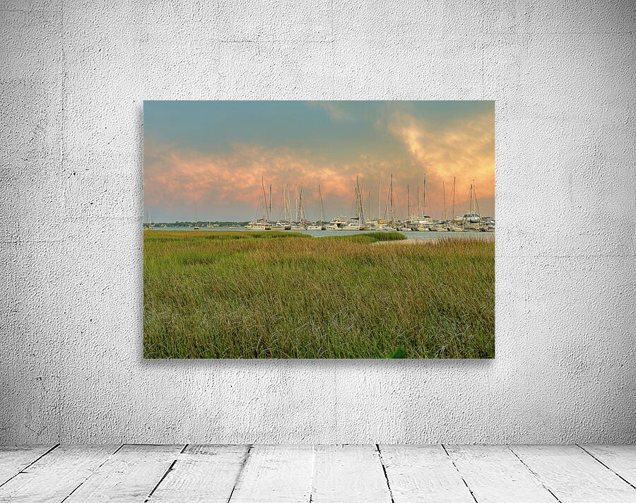 Charleston SC Marsh II Wall Preview