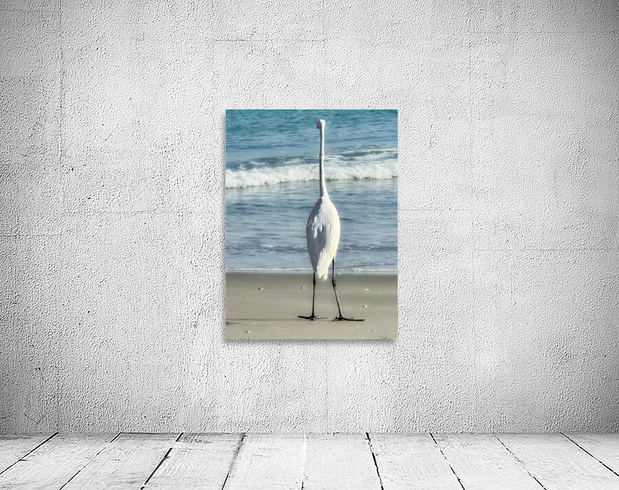 EGRET3a Wall Preview