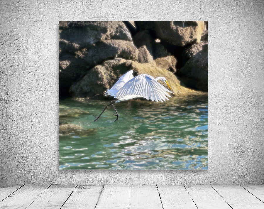 EGRET2 Wall Preview
