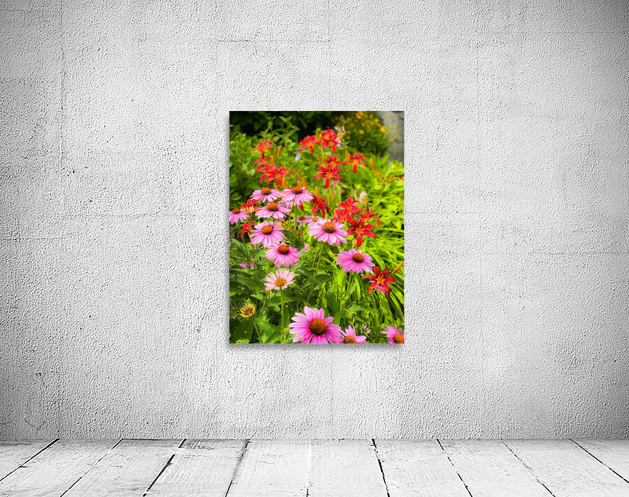 IMG 4824 Wall Preview