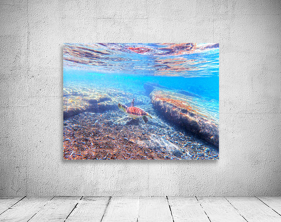 SeaTurtle12 Wall Preview