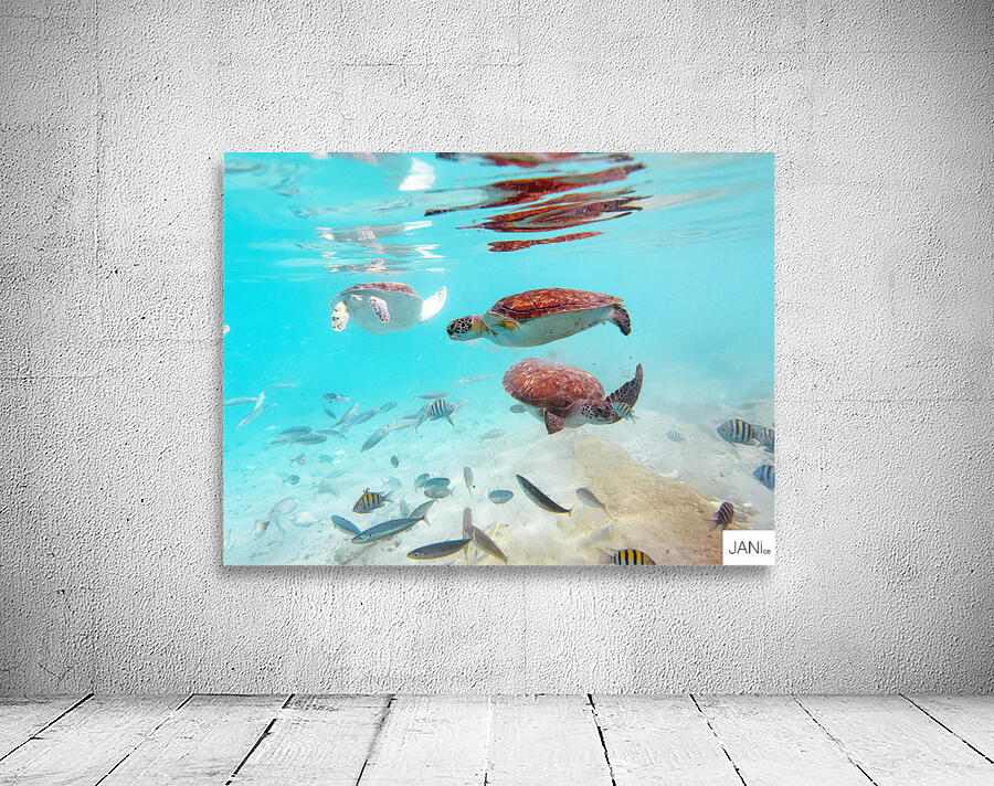 Sea Turtle 4 Wall Preview