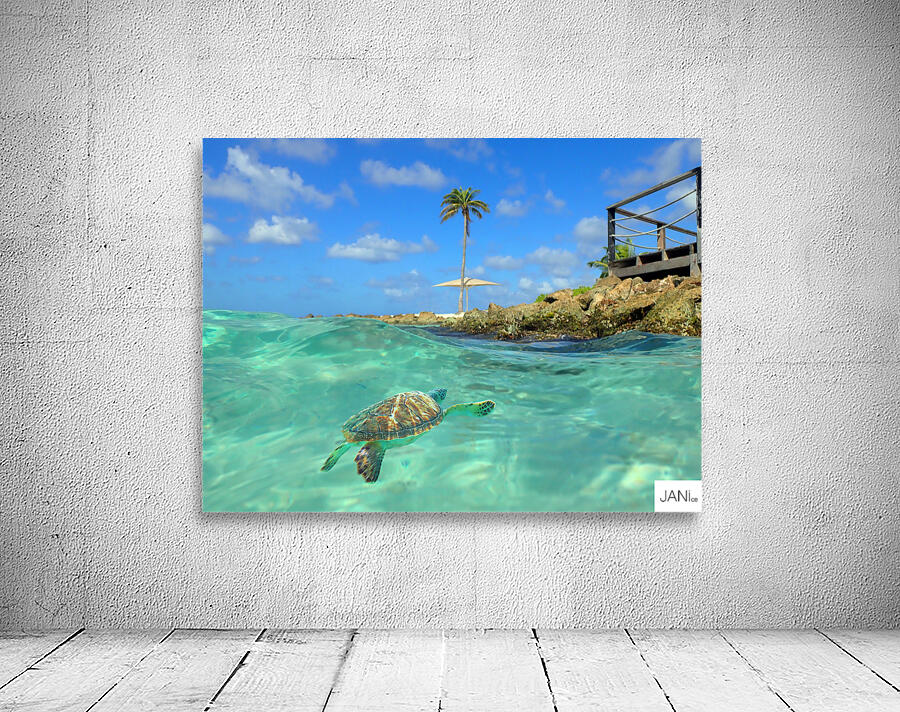 TurtleBay Wall Preview