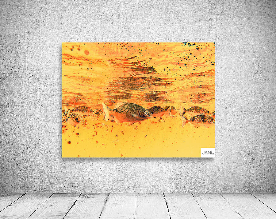 Fishies Wall Preview