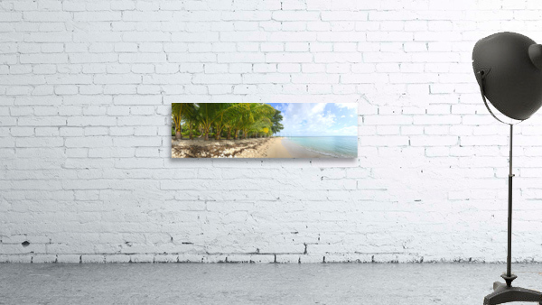 Bastimentos Beach Wall Preview