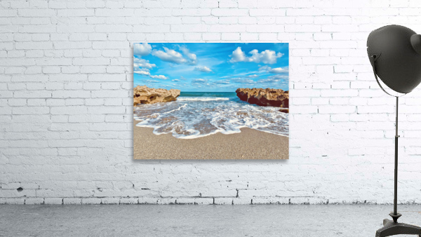 CoralCove1 Wall Preview