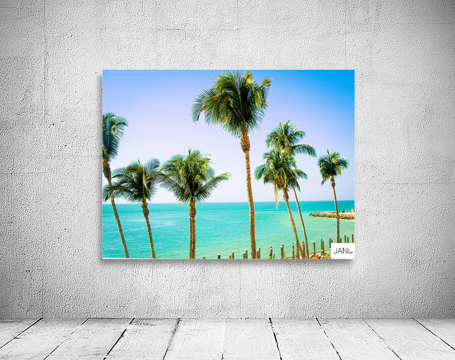 PalmsMarco Wall Preview
