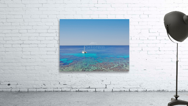 Roatan West End Wall Preview