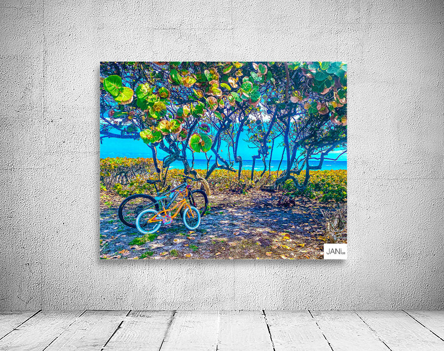 JunoBikes Wall Preview