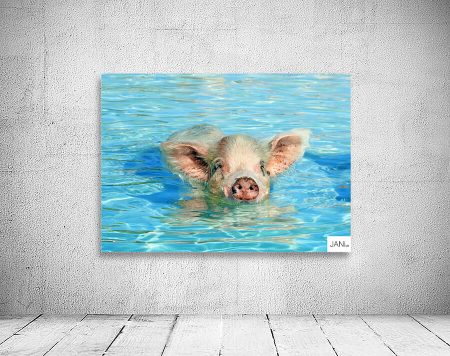 Piglet Wall Preview