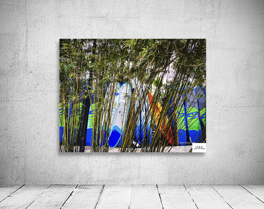 PaddleBoards Wall Preview