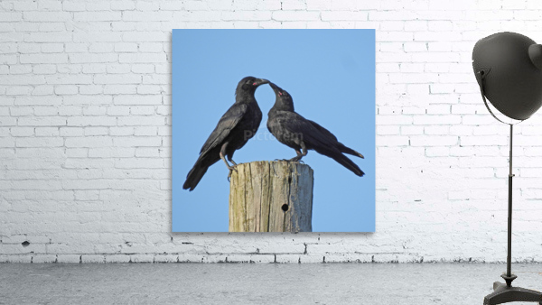 Love Birds Wall Preview