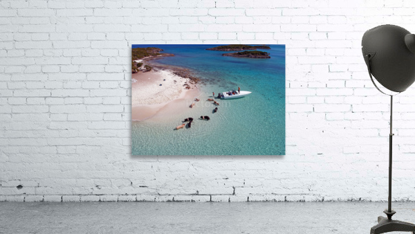 PigBeach Wall Preview