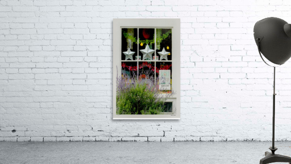 BIWINDOW Wall Preview