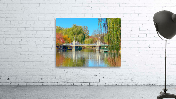 BostonPublicGarden Wall Preview