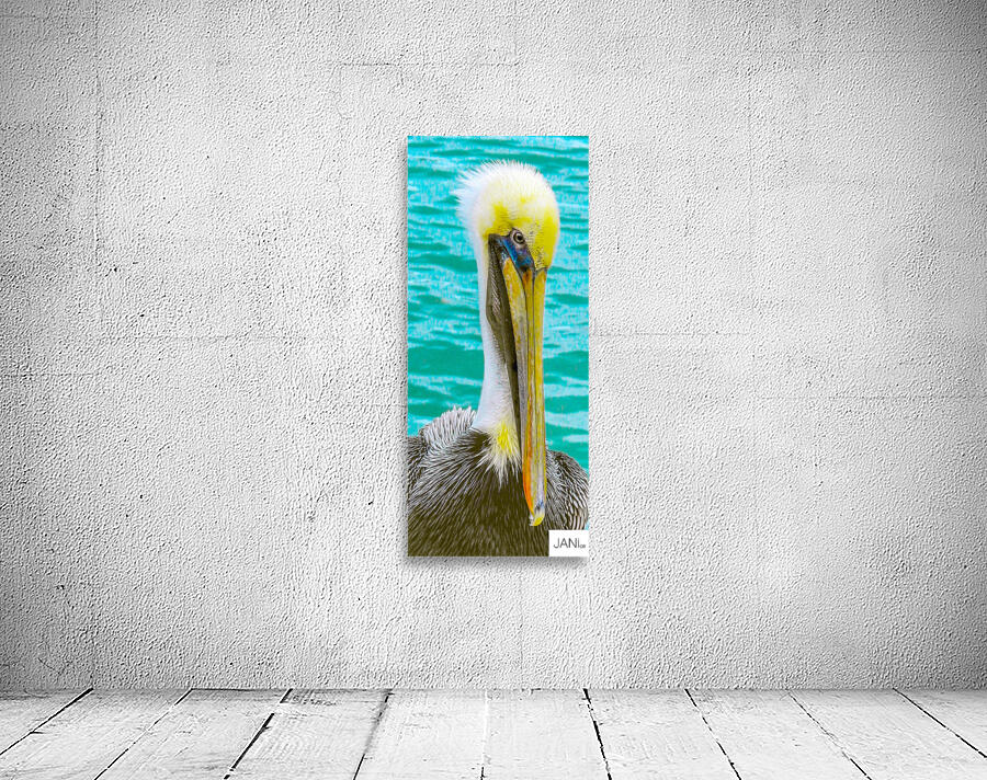 Pelican II Wall Preview