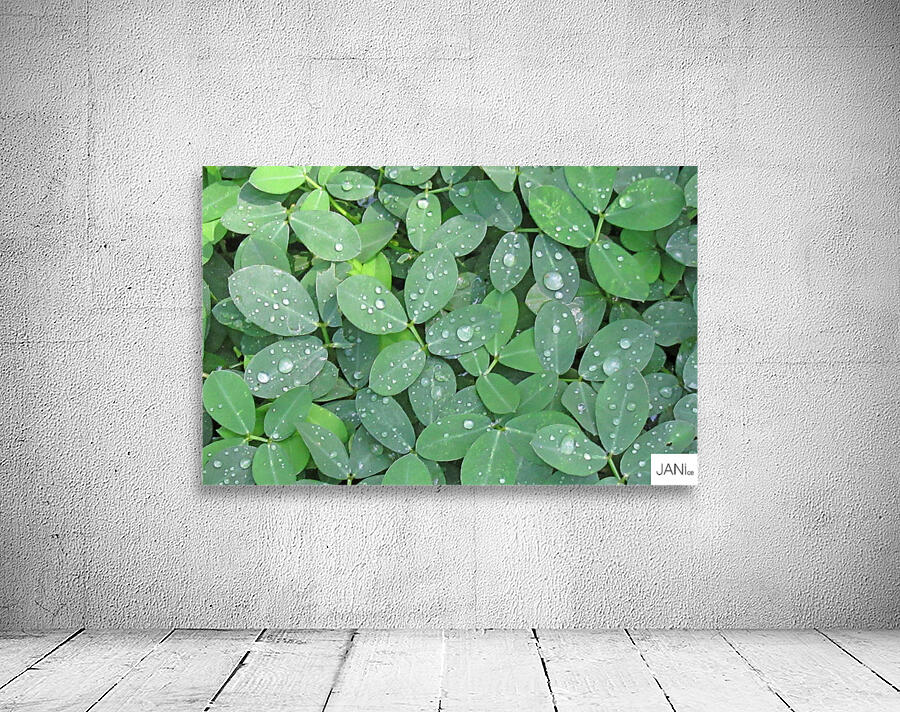 Rain Droplets Wall Preview