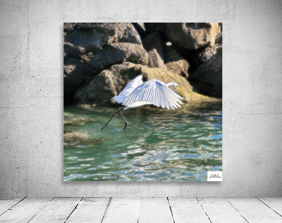 EGRET2 Wall Preview