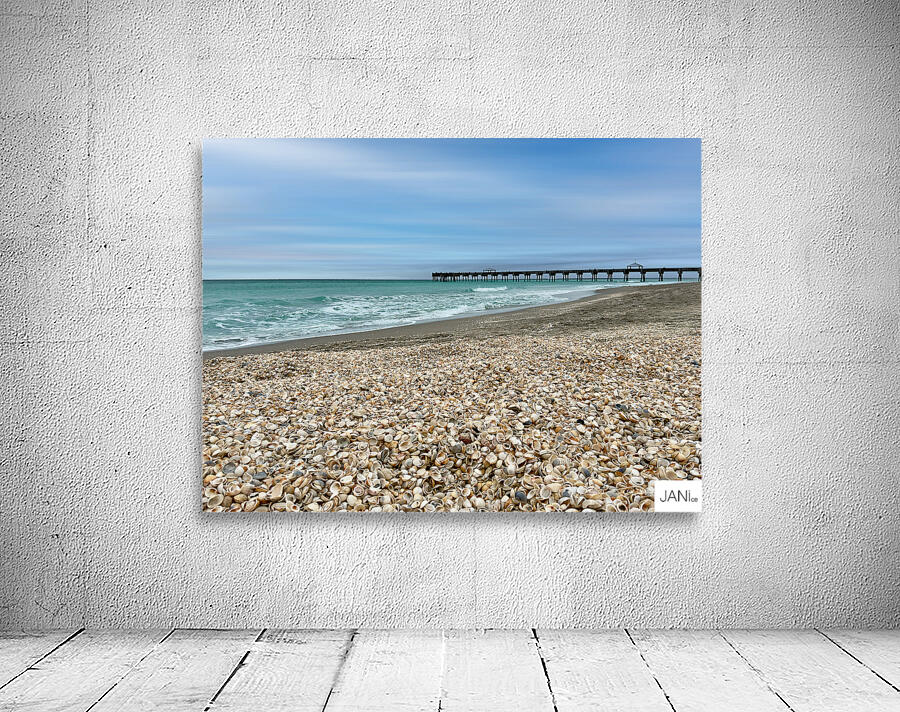 Juno Pier 2:7 D Wall Preview