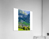 Nature big  Acrylic Print
