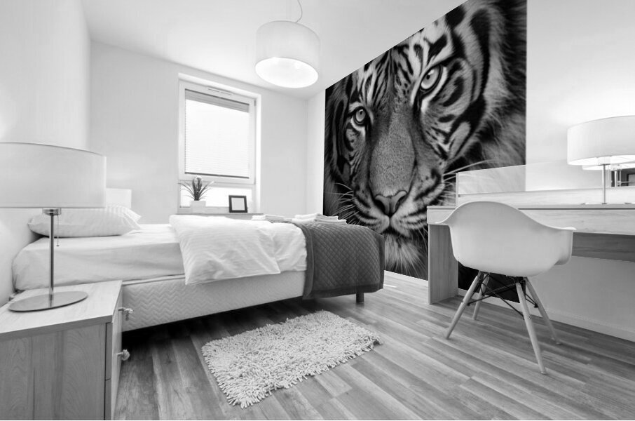 Big cats Mural print