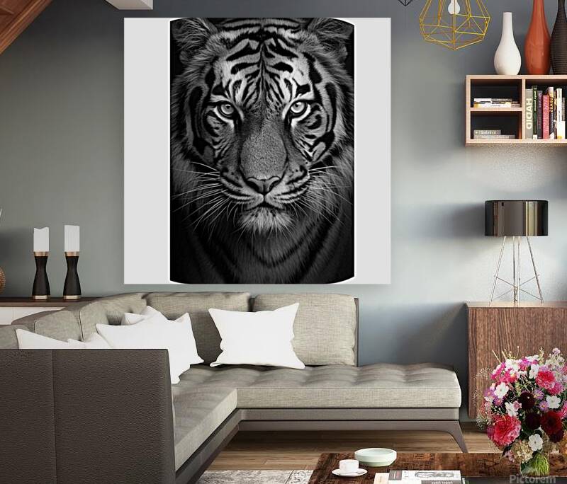 Big cats Reproduction
