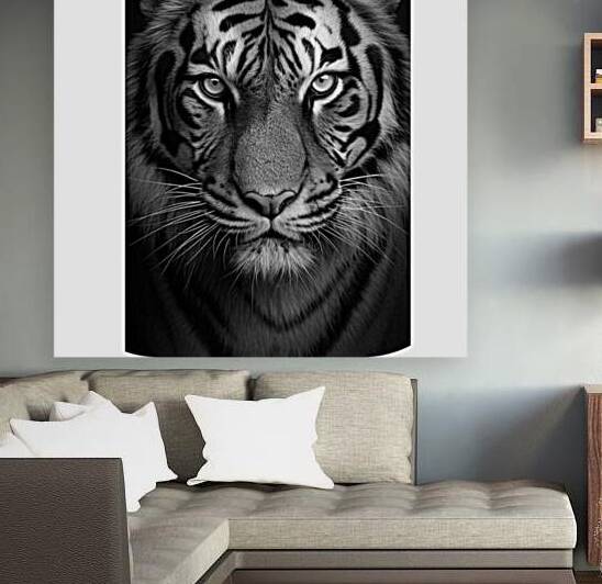Big cats by behragham