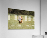 Lou Acrylic Print
