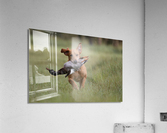 Lou Acrylic Print